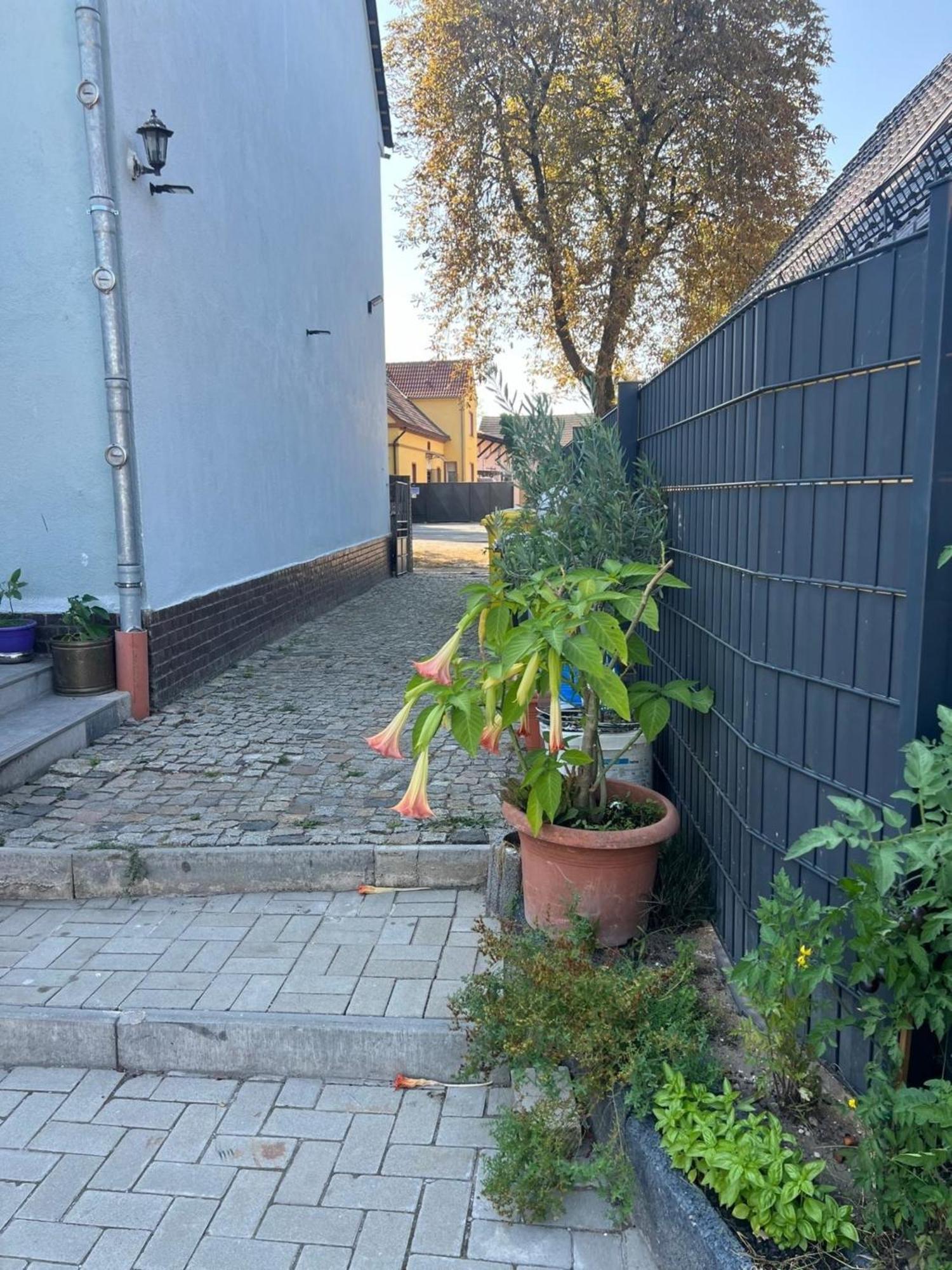 Ferienwohnung Antike Wohnmoeglichkeit Kurz Und Langfristig 100Qm Erdgeschoss Lauchhammer Exterior foto
